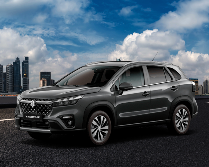 Baterías para Suzuki S-Cross