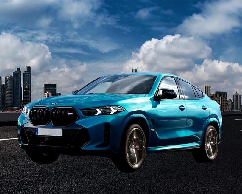 Baterías para BMW X6